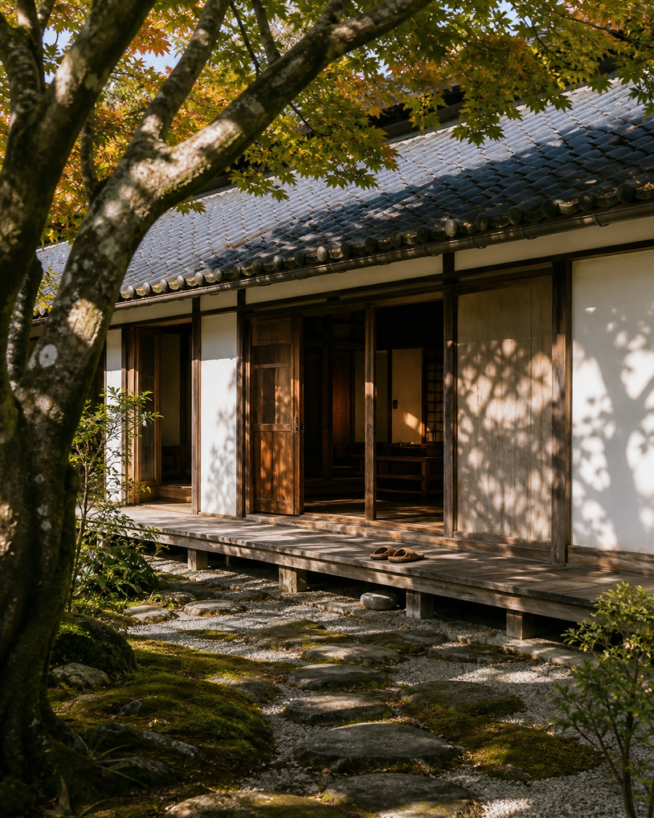 木漏れ日の落ちる古民家の外観